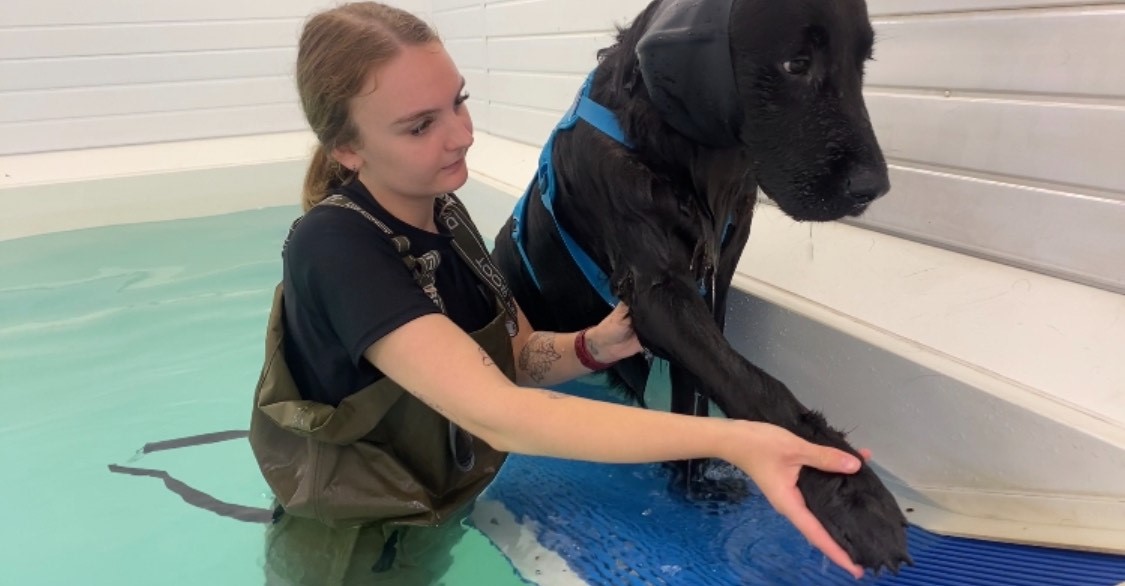 Aimee Plumb, founder of Cambridge Hydrotherapy Centre