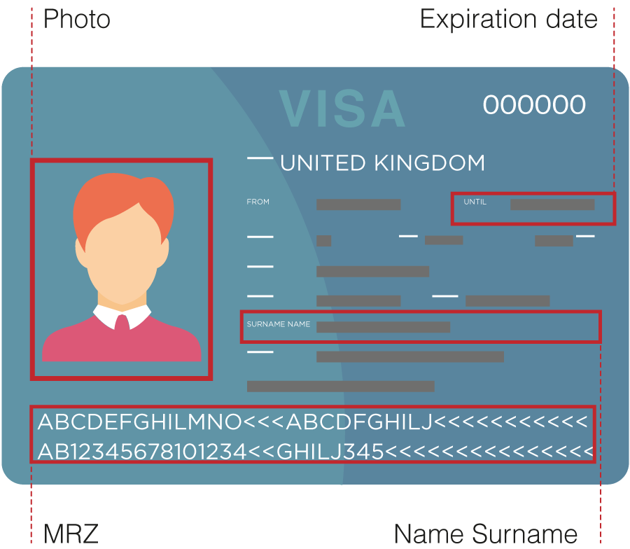 visa icon diagram