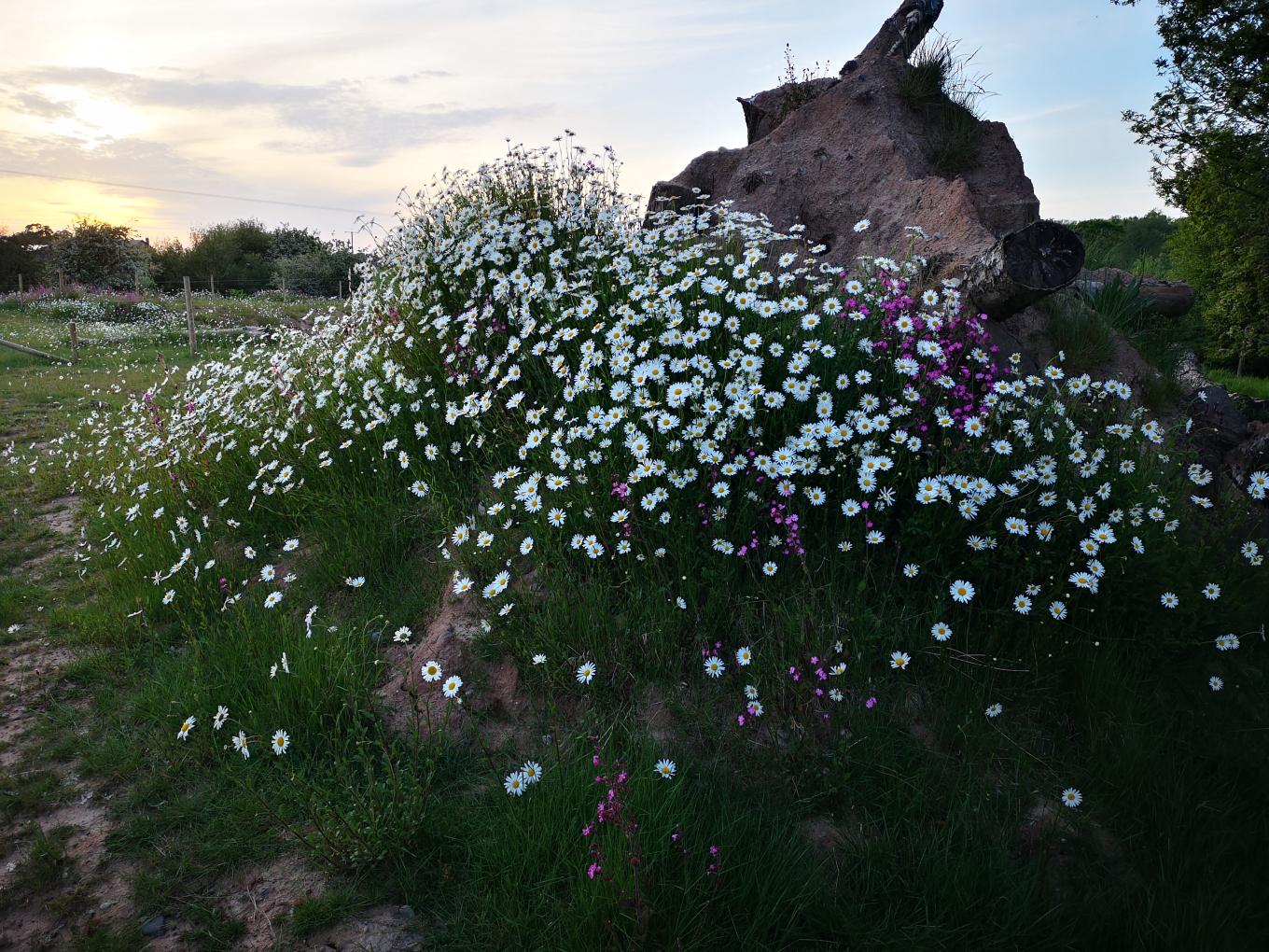 A hibernaculum - a place in which an animal seeks refuge, such as a bear using a cave to overwinter