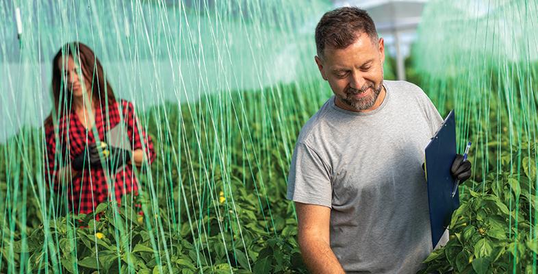 A female and male walking through a greenhouse inspecting plants whilst carrying a notepad