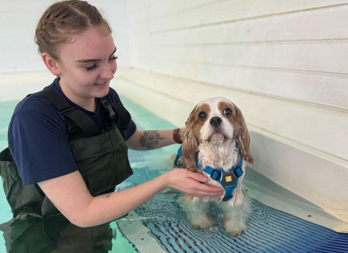 Aimee Plumb, founder of Cambridge Hydrotherapy Centre