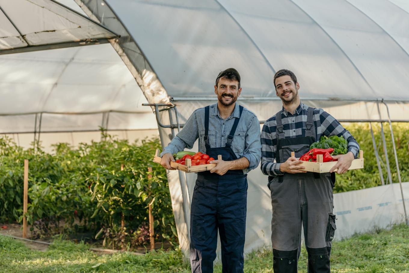 Two male farmers standing posing next to a greenhouse carrying trays of produce